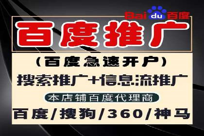 百度广告推广助力电商行业案例分析